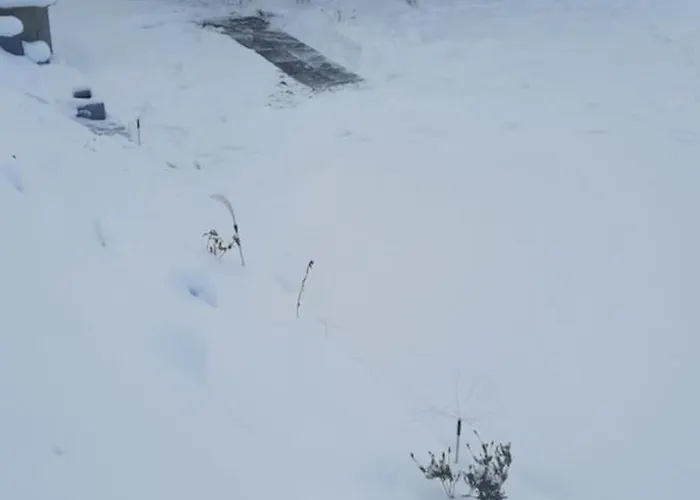 Domki Letniskowe Nad Jeziorem Solinskim Pasiekowka